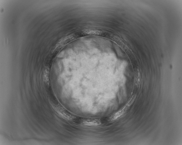 X0000085750175200703301411