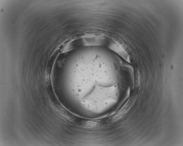 X0000085750176200703301411