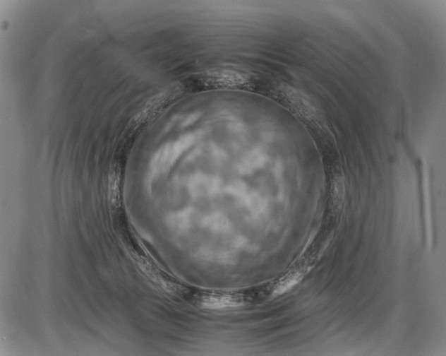 X0000085750177200703301412