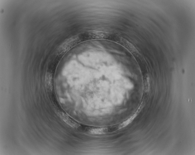 X0000085750178200703301412