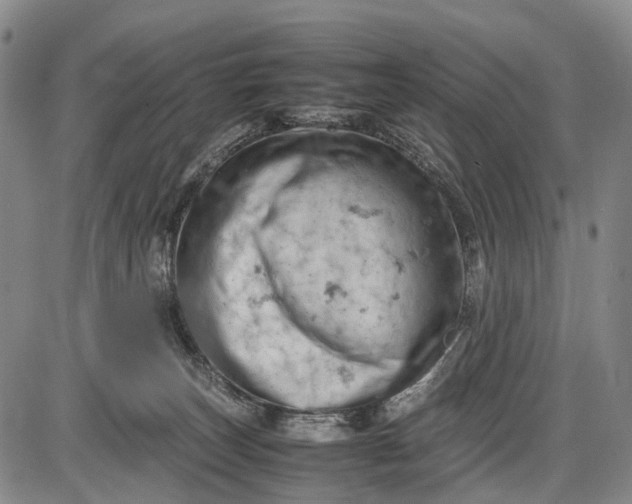 X0000085750179200703301412