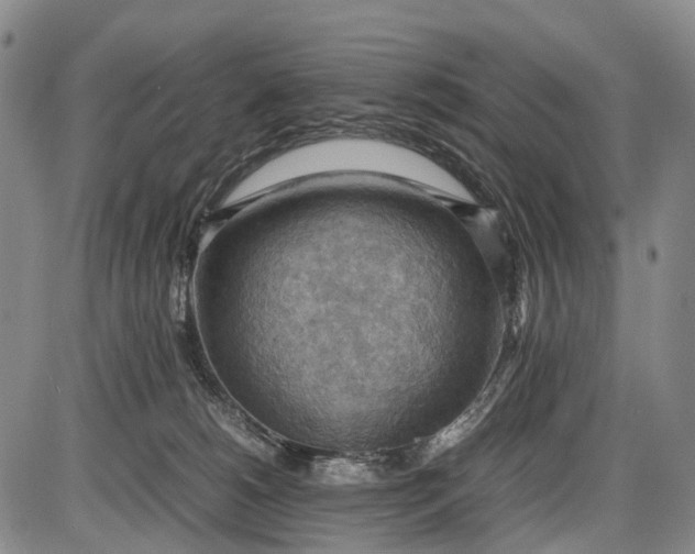 X0000085750180200703301412