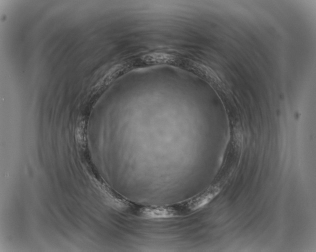 X0000085750181200703301412