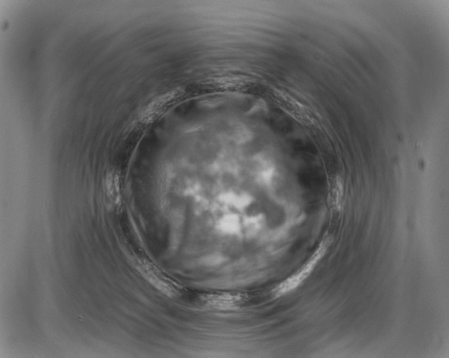 X0000085750182200703301412