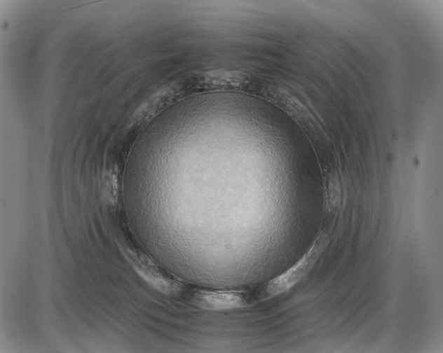 X0000085750183200703301412