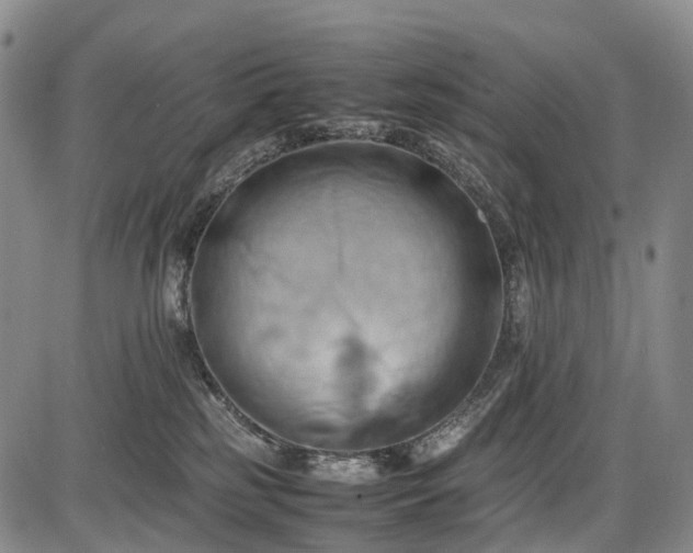 X0000085750185200703301412