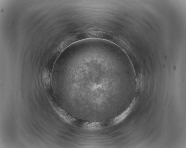 X0000085750186200703301412