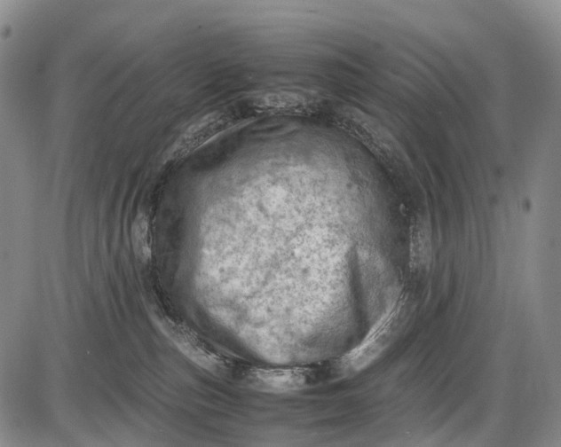 X0000085750187200703301412