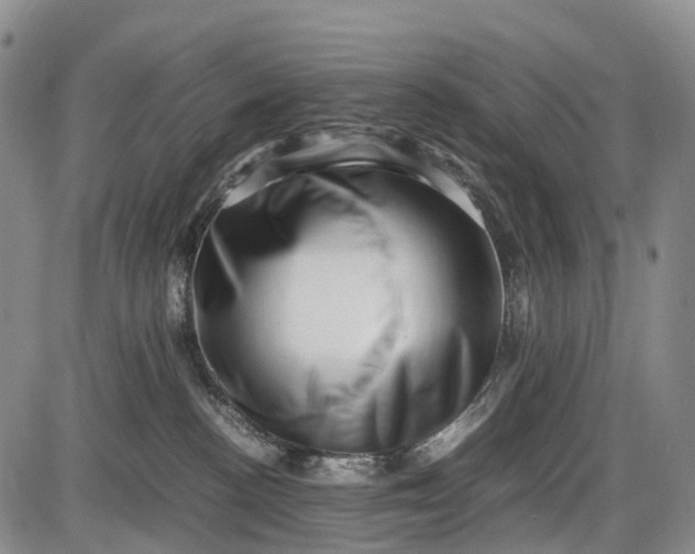 X0000085750188200703301412