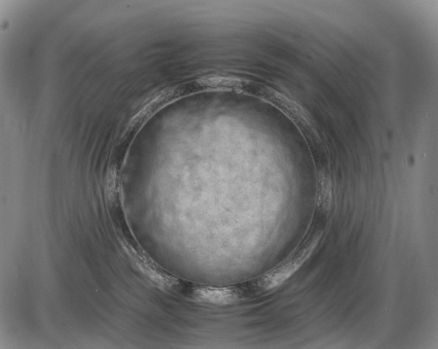 X0000085750189200703301412