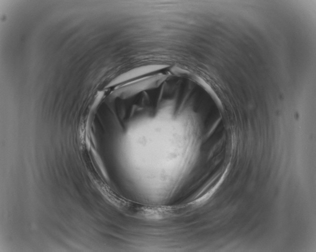 X0000085750190200703301412