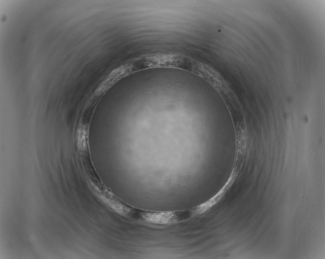 X0000085750191200703301412