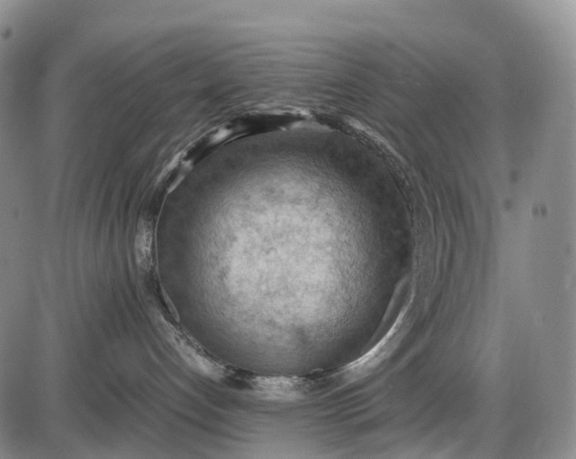 X0000085750192200703301412