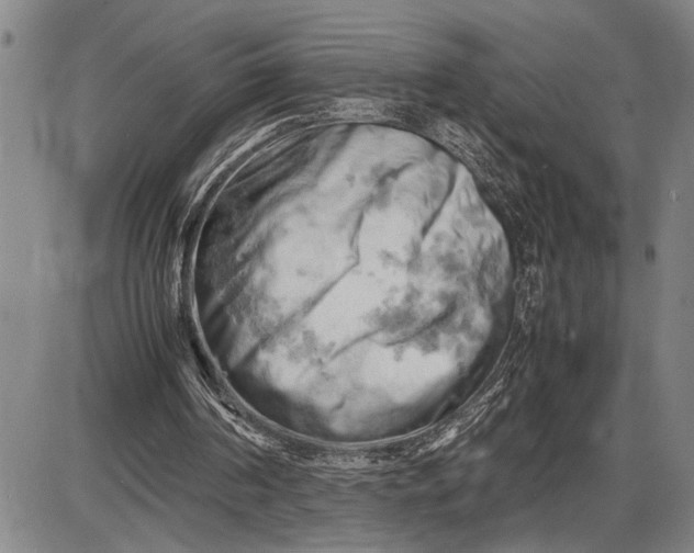 X0000085750194200703301411