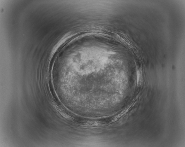 X0000085750195200703301411