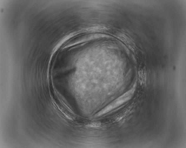 X0000085750196200703301411