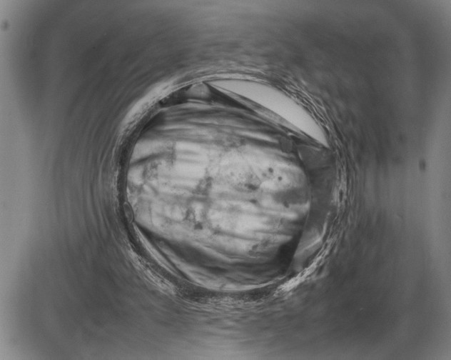 X0000085750197200703301411