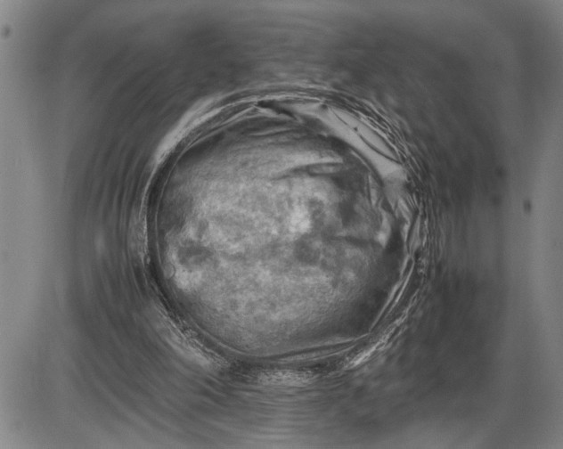 X0000085750198200703301411