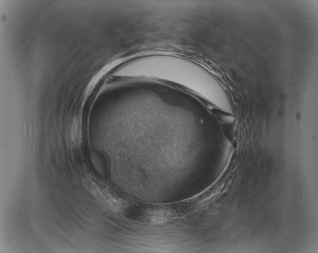 X0000085750200200703301411