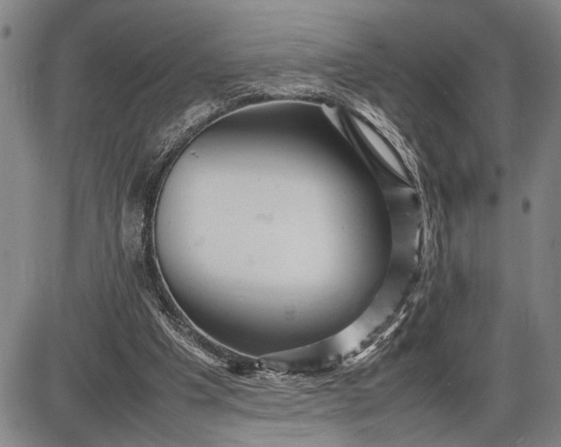 X0000085750201200703301411