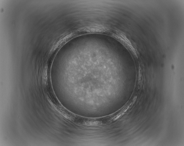 X0000085750202200703301411