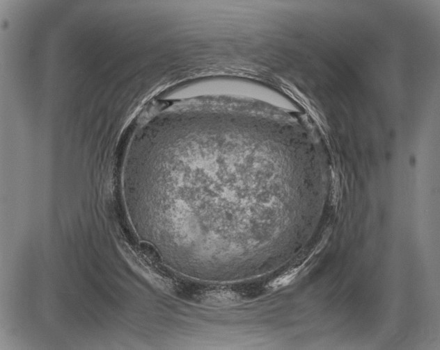 X0000085750203200703301411