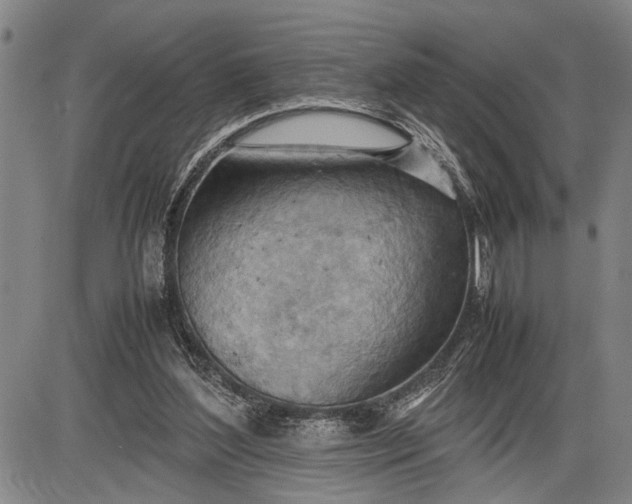 X0000085750204200703301411