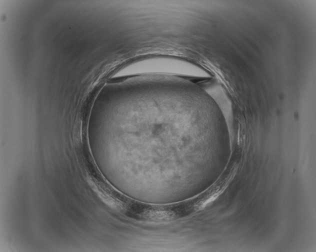 X0000085750205200703301411