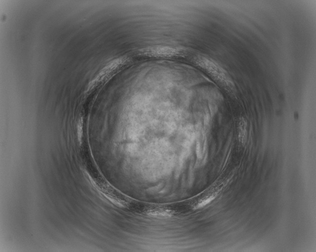 X0000085750206200703301411