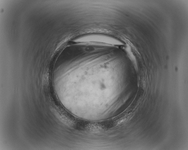 X0000085750207200703301411