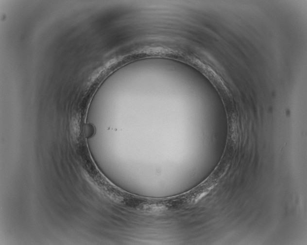 X0000085750208200703301411