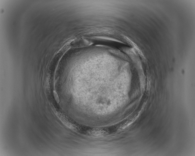 X0000085750209200703301411