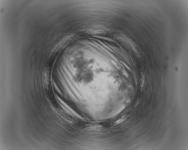 X0000085750210200703301411