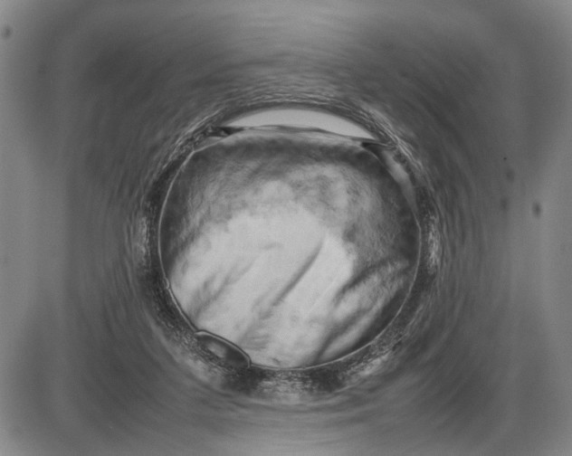 X0000085750211200703301411