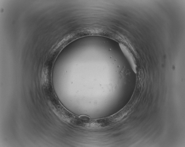 X0000085750212200703301411