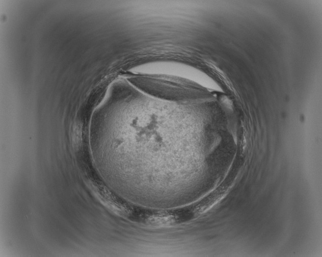 X0000085750213200703301411