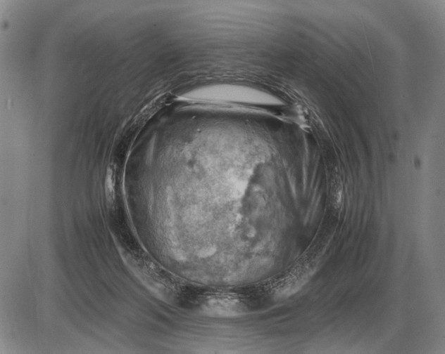 X0000085750214200703301411