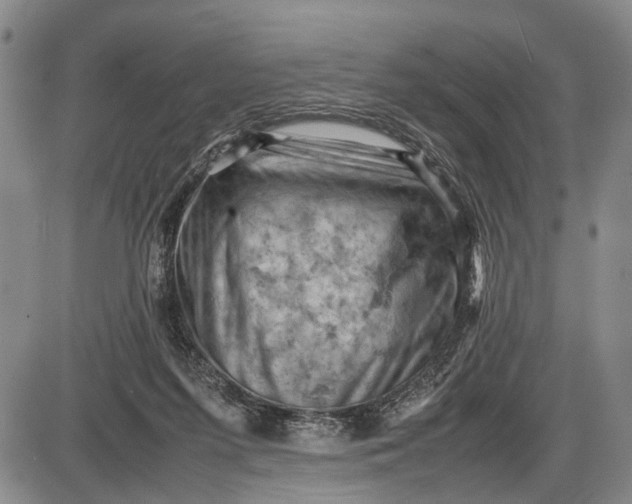 X0000085750215200703301411