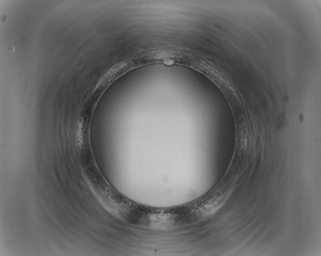 X0000085750216200703301411