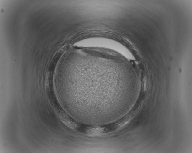 X0000085750217200703301411