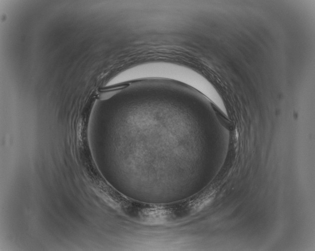 X0000085750219200703301411