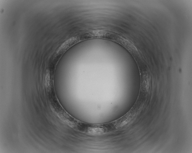 X0000085750220200703301411