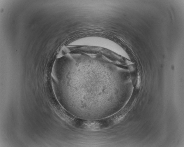 X0000085750221200703301410