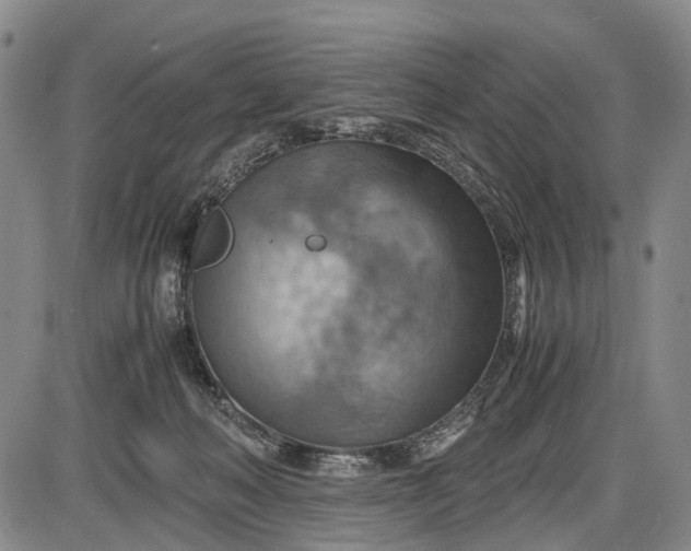 X0000085750222200703301410