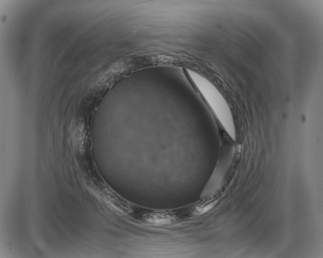 X0000085750223200703301410