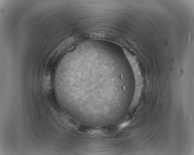 X0000085750224200703301410