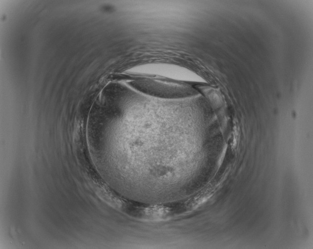 X0000085750225200703301410