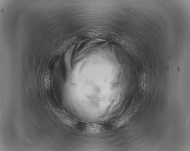 X0000085750226200703301410