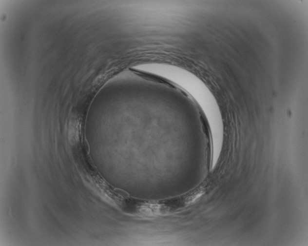 X0000085750227200703301410