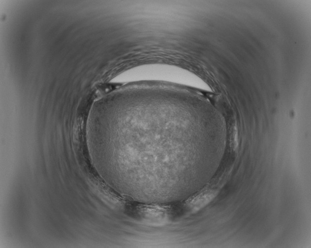 X0000085750229200703301410